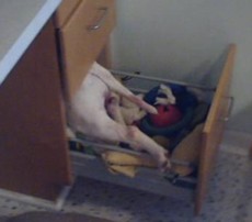 All the good toys are way in the back