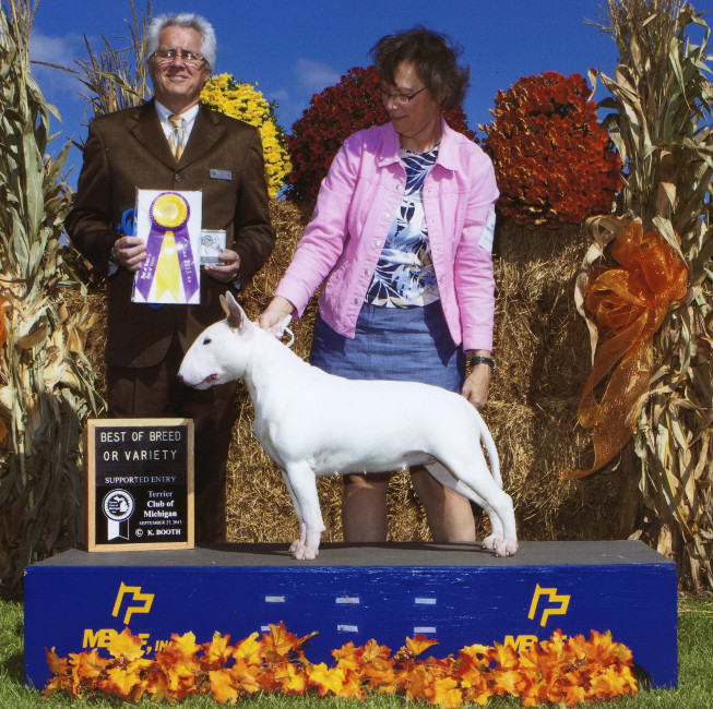 Livi, September 2013