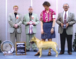 Am/Can Ch Nuance Nougat Center