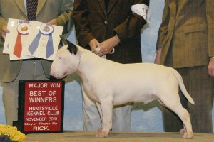 GCH Aragon's Ruffin Around, ROM